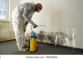 Why You Should Choose Our Mold Remediation Services in Flemingsburg, KY